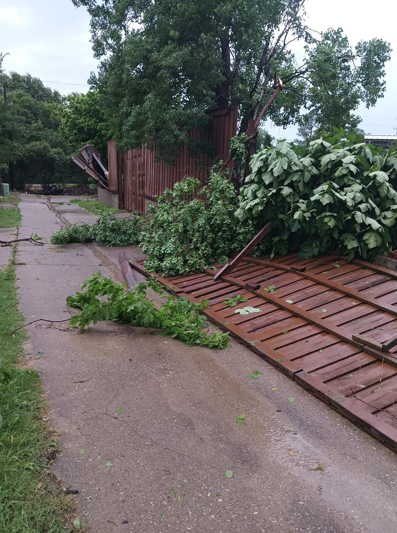 Esto indica que en las próximas horas podrían presentarse condiciones para la formación de tormentas, con 
<b>fuertes vientos, granizo de gran tamaño y la posibilidad de tornados.</b>