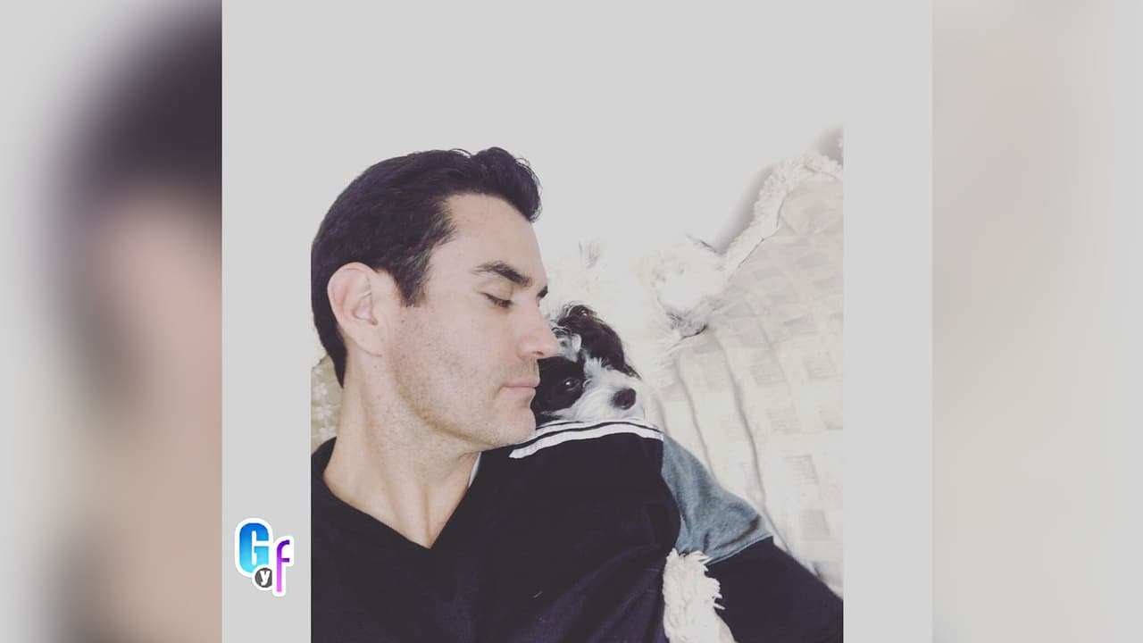 David Zepeda siente un gran amor por sus mascotas