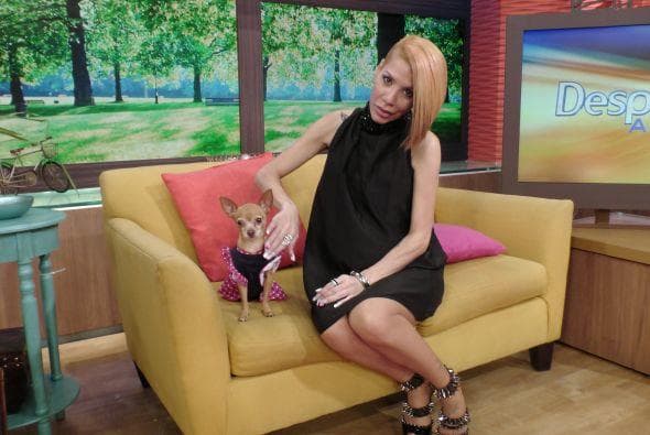 Los cariñitos nunca le hacían falta, siempre había unas uñas que le rascaban su pechito.