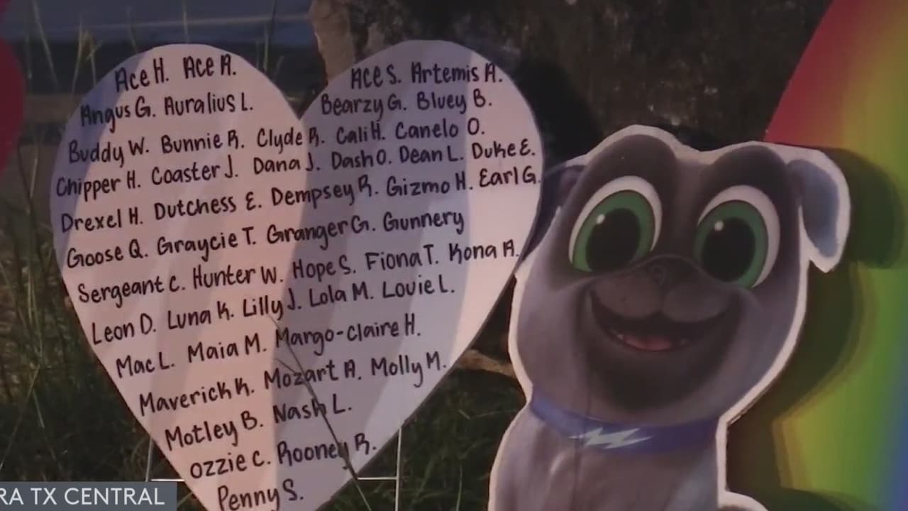 El martes en la noche se llevó a cabo una vigilia en memoria a las 75 mascotas que murieron a causa de un incendio en un alojamiento para mascotas en la ciudad de Georgetown.