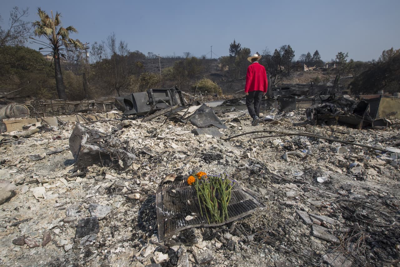 Mark Rippey dejó unas flores en el lugar donde falleció su padre, en una casa de más de 100 años reducida a cenizas en Napa. La zona de viñedos de Napa fue una de las más afectadas por los incendios