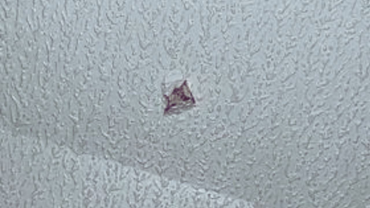 La historia de Esperanza Cárdenas destaca
<b>la importancia de tomar decisiones informadas durante las festividades</b> para garantizar la seguridad personal y de quienes nos rodean. Aunque las celebraciones deben ser momentos de alegría,
<b> la violencia puede convertir cualquier evento festivo en una tragedia evitable</b>.