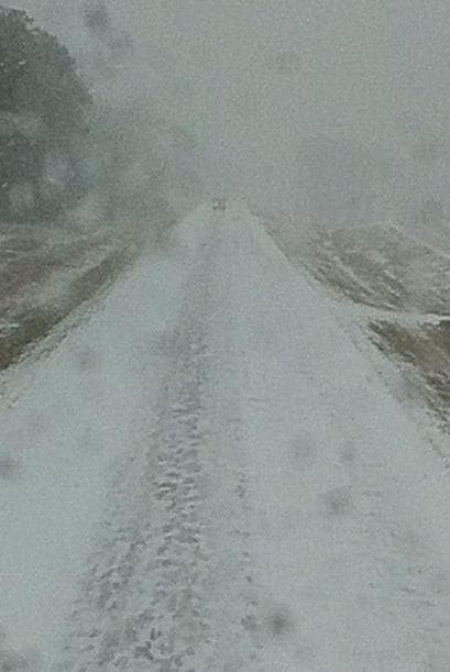 Yadi Martínez nos dice que así quedaron las carreteras en Clanton, Alabama.