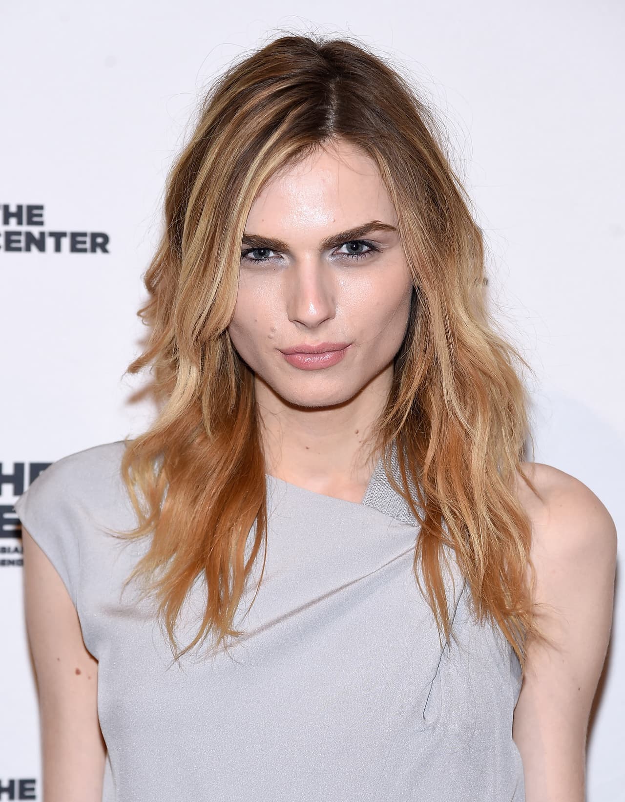 Ahora, su nombre es Andreja Pejic.