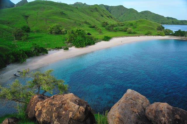 Los residentes más famosos de la isla
<b> Komodo</b> en Indonesia son los dragones, criaturas de lento movimiento con dientes afilados y veneno mortal. La isla que alberga a los lagartos más grandes del mundo planea cerrar a los visitantes en 2020. El diario
<i>Tempo</i> informó que el cierre se produce en respuesta a una red de contrabando que en marzo sacó y vendió a 41 lagartos en el extranjero por 500 millones de rupias cada uno, unos 35,000 dólares.
<br>