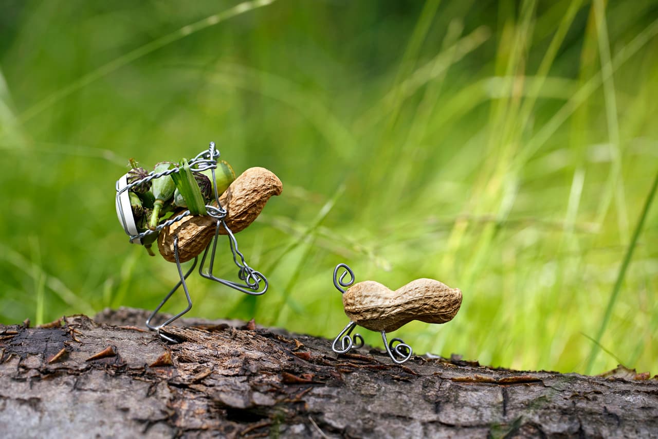 Lo más importante es escoger alguno que tenga un lenguaje corporal divertido.