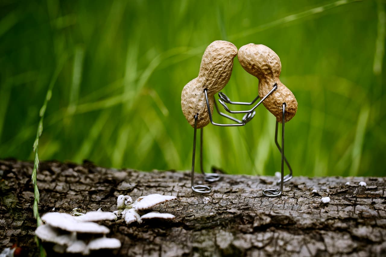 ¿Quién dijo que los manís no pueden ser románticos?