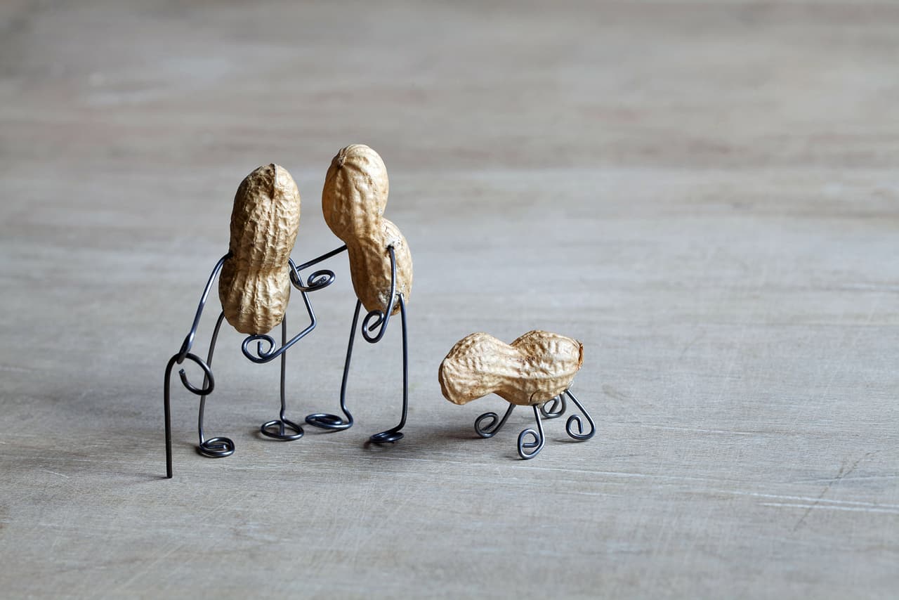 Tal vez ellos han pasado muchos años juntos, ¿no lo crees?