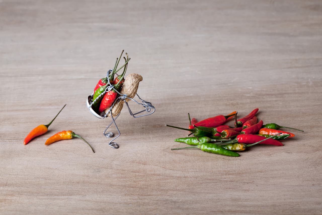 Algunos se dedicarían a la recolección y serían manufactureros también.