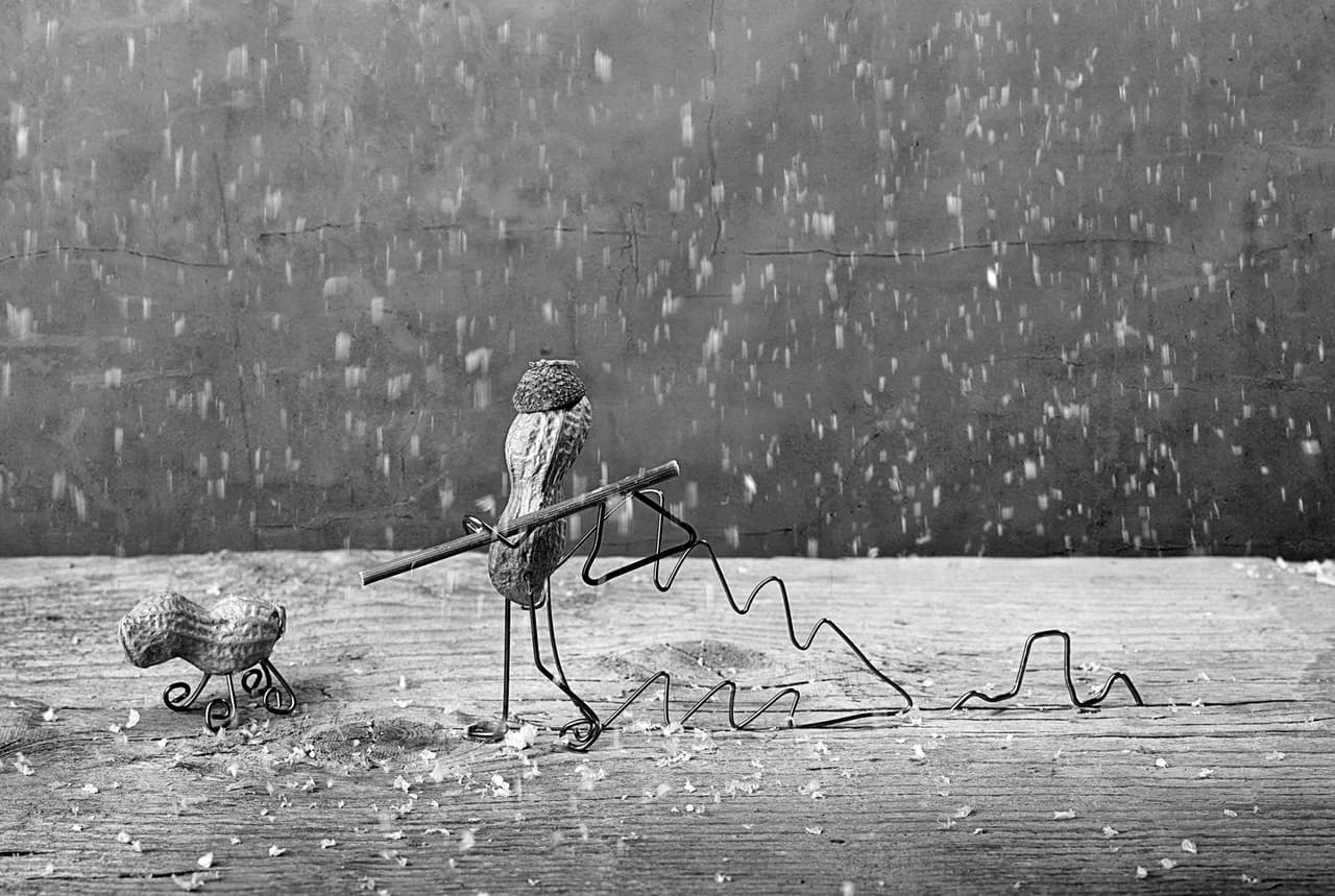 Ella logró capturar la esencia de cada elemento.