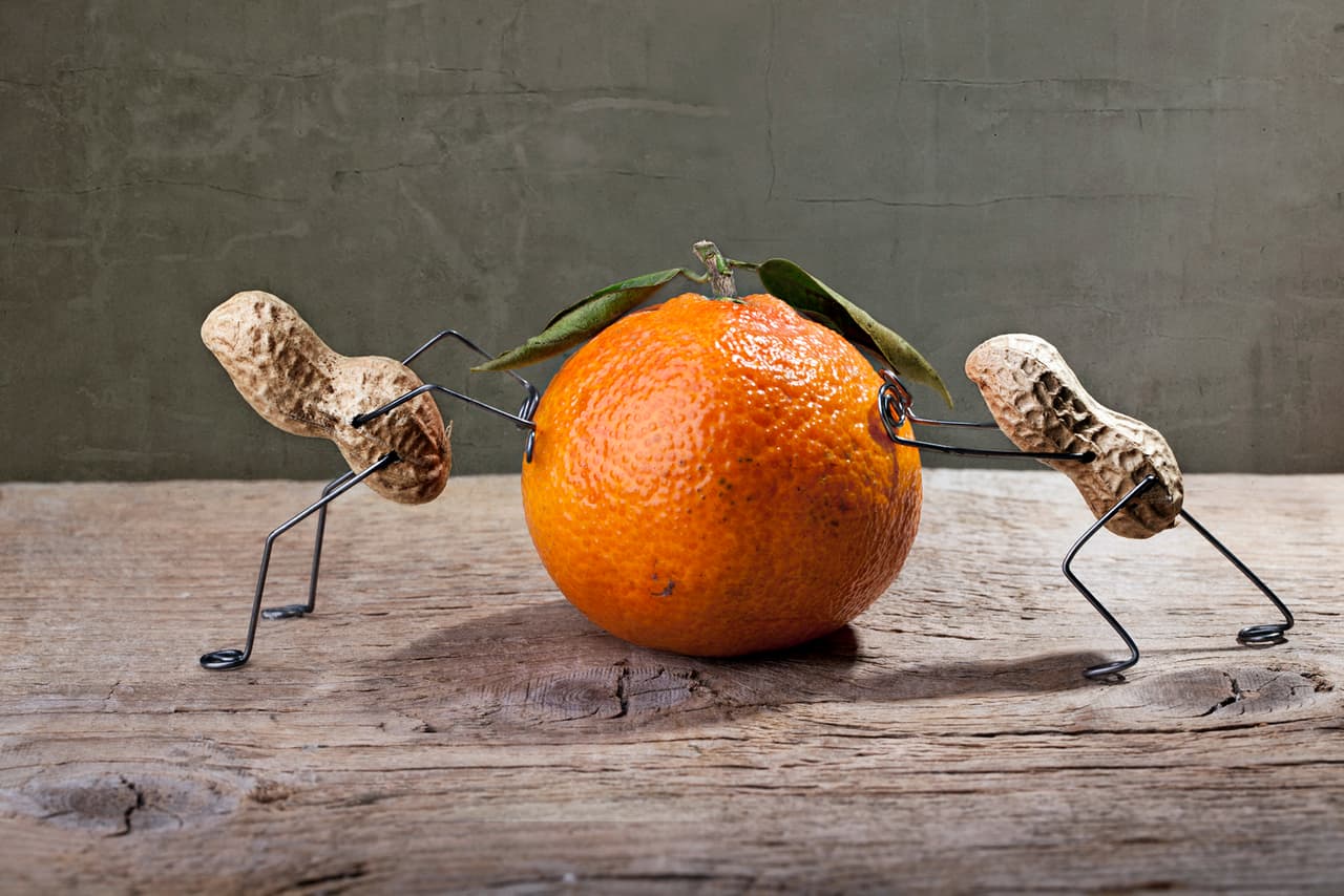 Cada una de estas fotos le costó varias horas de preparación, tanto de los elementos, como el uso de la luz.