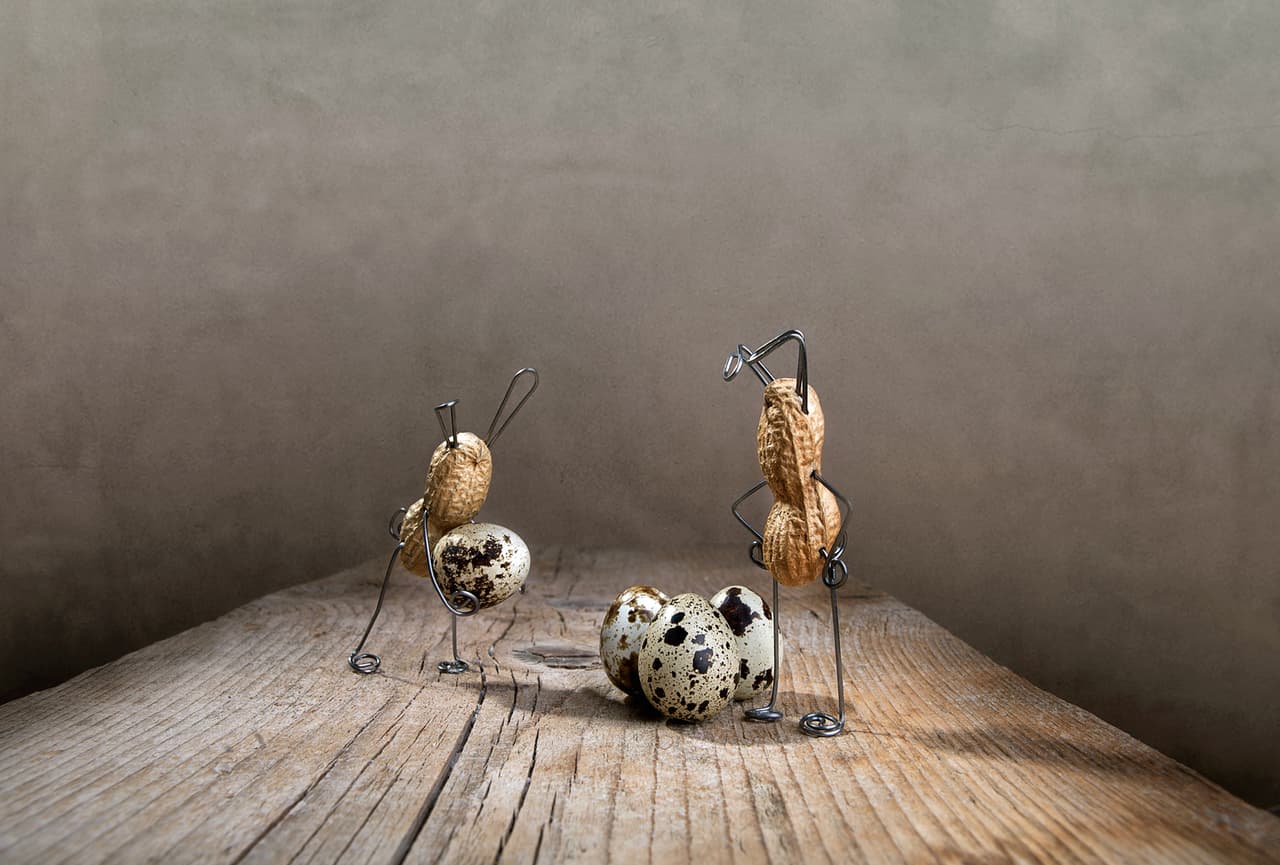 ¿Y si los cacahuates pudieran moverse? ¿Qué harían?