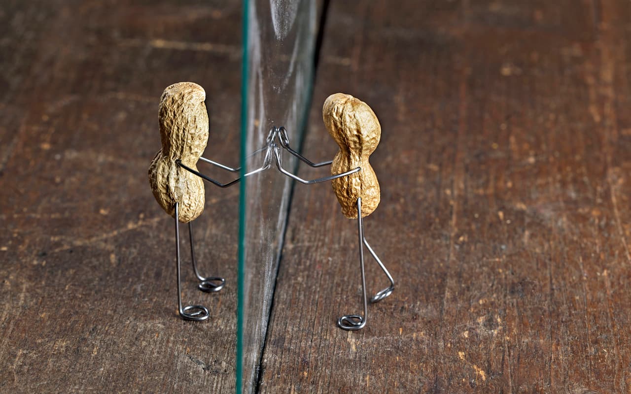 ¿O estarían observándose y reflexionando sobre su existencia?