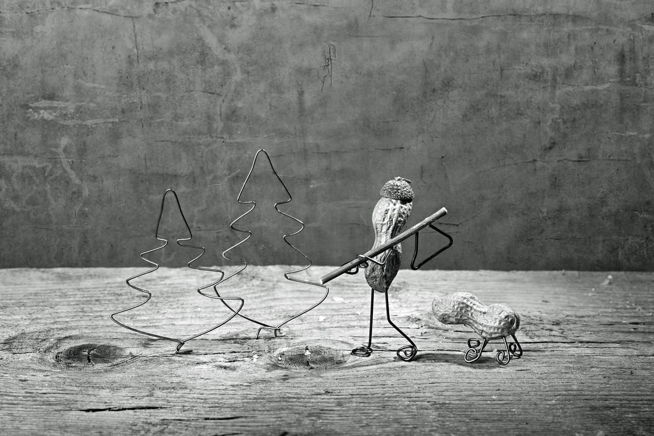 Tal vez estarían jugando con su perro-maní.