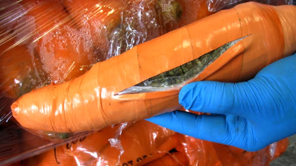 "Narcozanahorias". Los paquetes de droga simulaban ser el alimento favorito de los conejos.