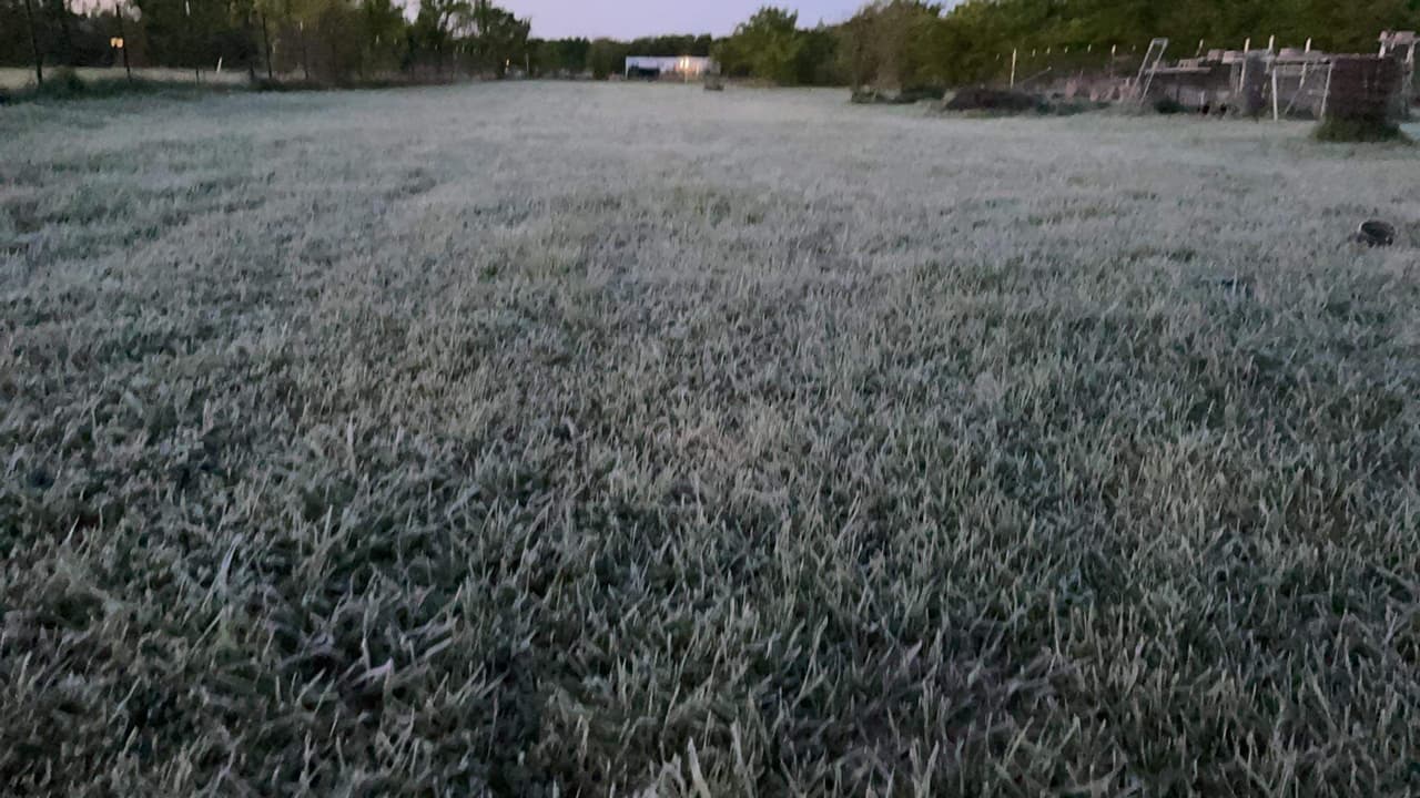 Esto superó el récord anterior de hace 103 años atrás de una temperatura de 39 grados.
<br>