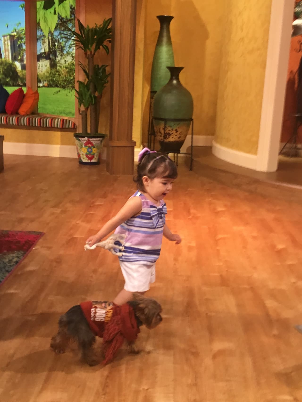 Baby Giulietta y tobi corrían de aquí para allá.