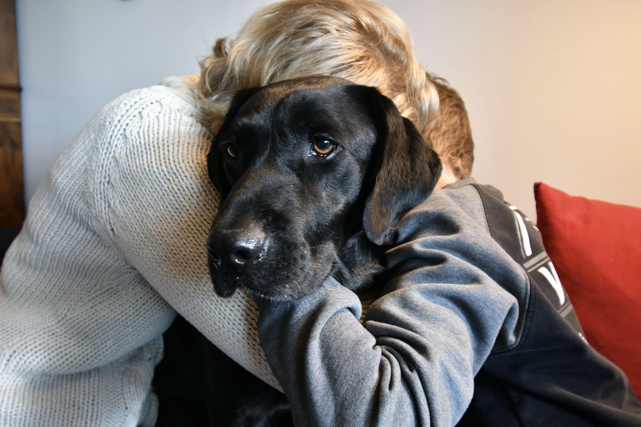 Un labrador abrazado por madre e hijo.