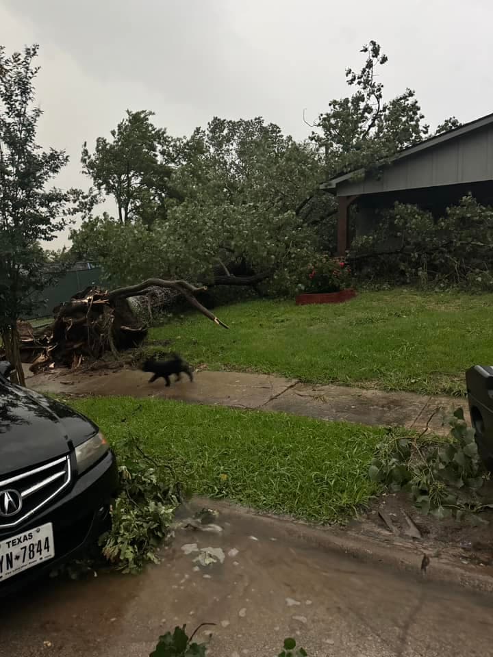 <b>Es crucial estar preparados para cualquier situación</b>. Esto implica contar con múltiples fuentes de información, desarrollar un plan familiar detallado y tener a mano un kit de emergencia completo.