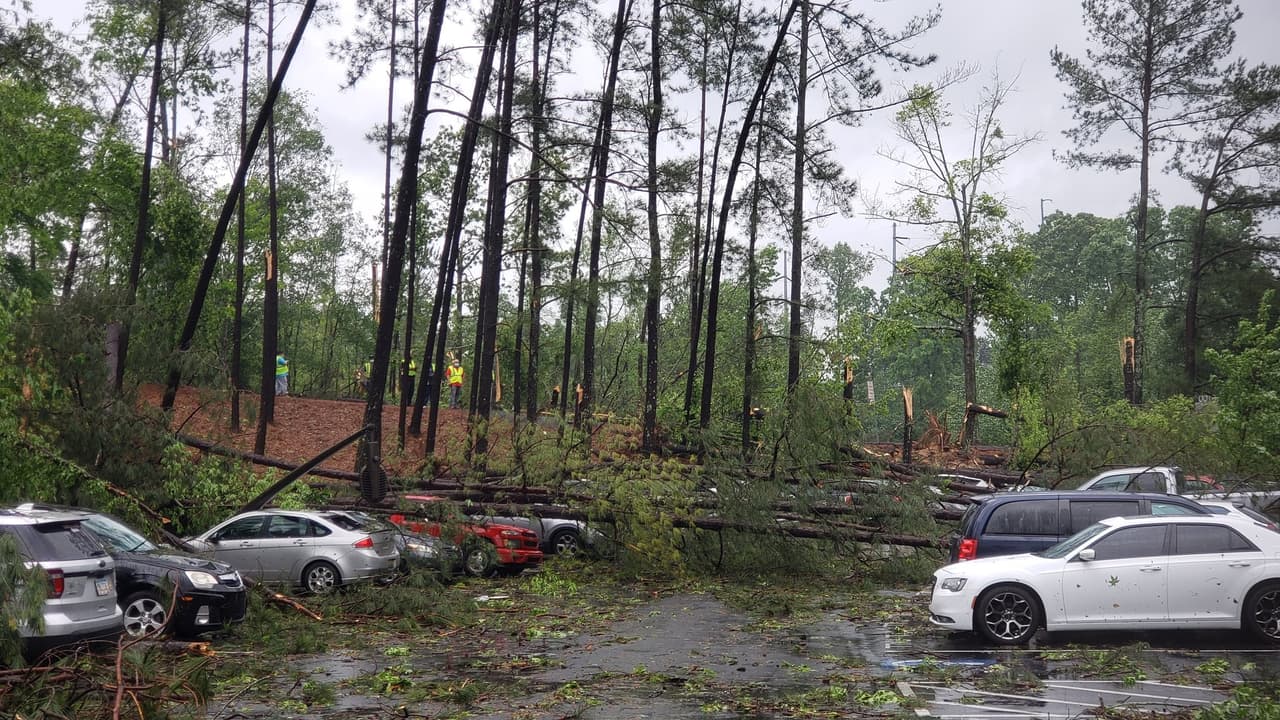 Los fuertes vientos derribaron árboles.
