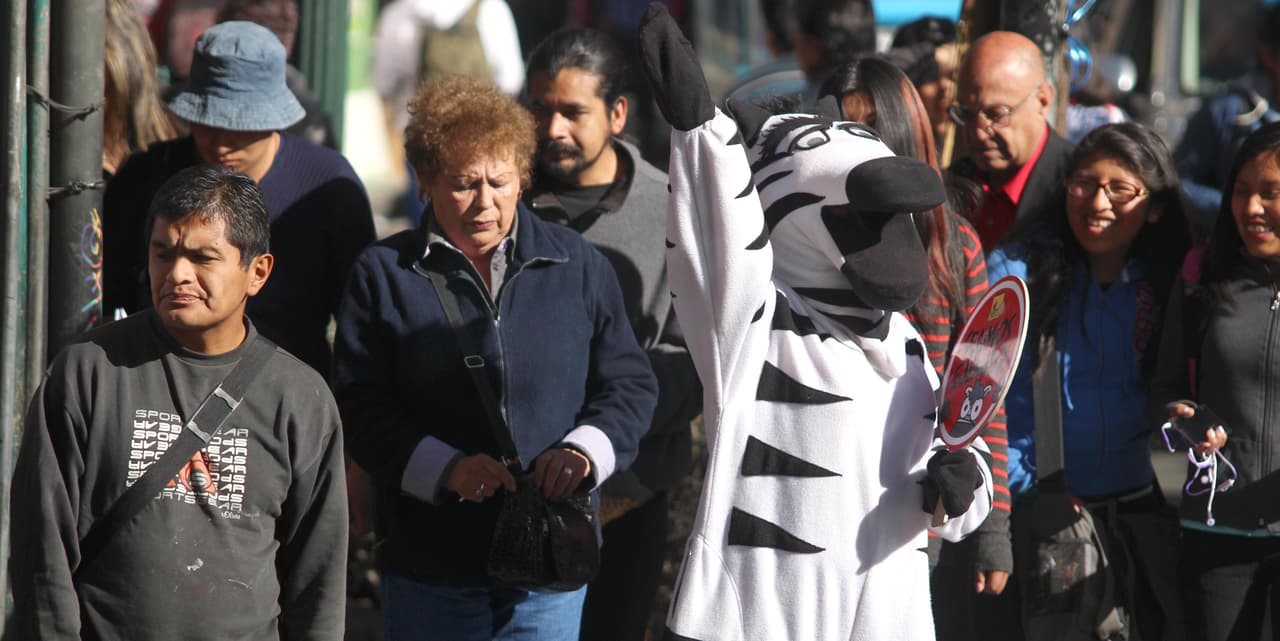 Un día bajo la piel de las cebras de La Paz