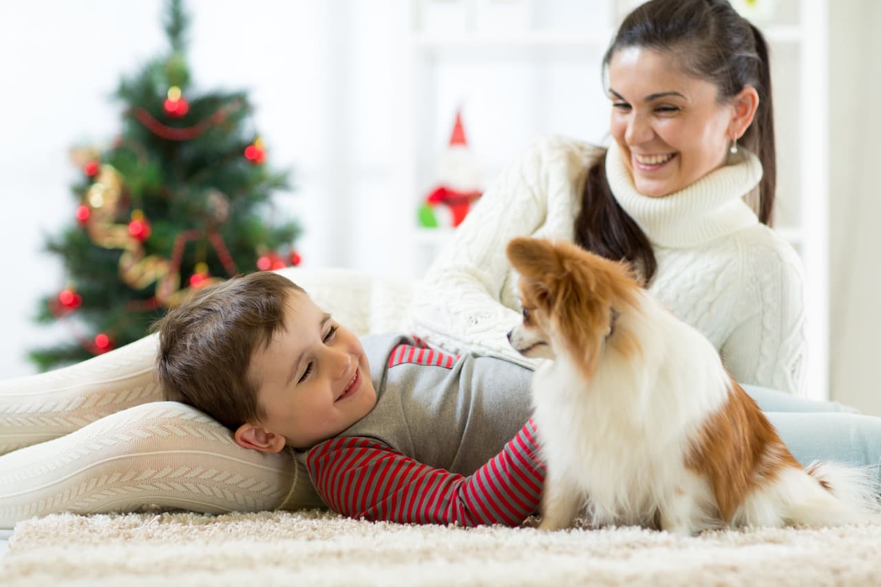 <b>No son aptos para bebés.</b> Aunque las mascotas se caracterizan por ser las más protectoras con los bebés, debes considerar que el trato que recibirán por parte de los pequeños será brusco y agresivo, pues no lograrán distinguir que ese 'guagua' o ese 'miau' no es un juguete.