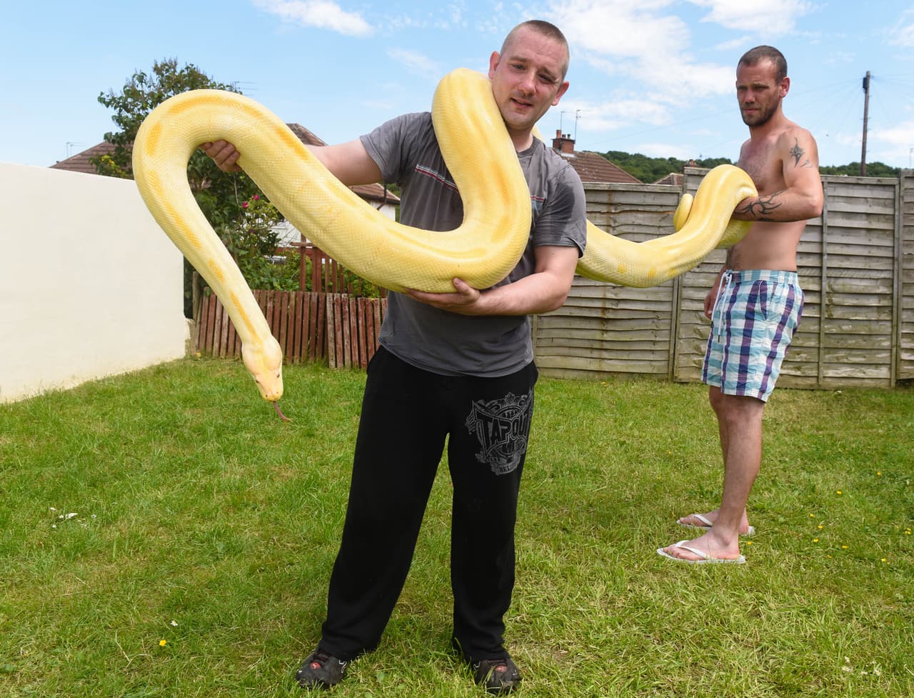 Rob simplemente no puede imaginar una vida sin ellos.