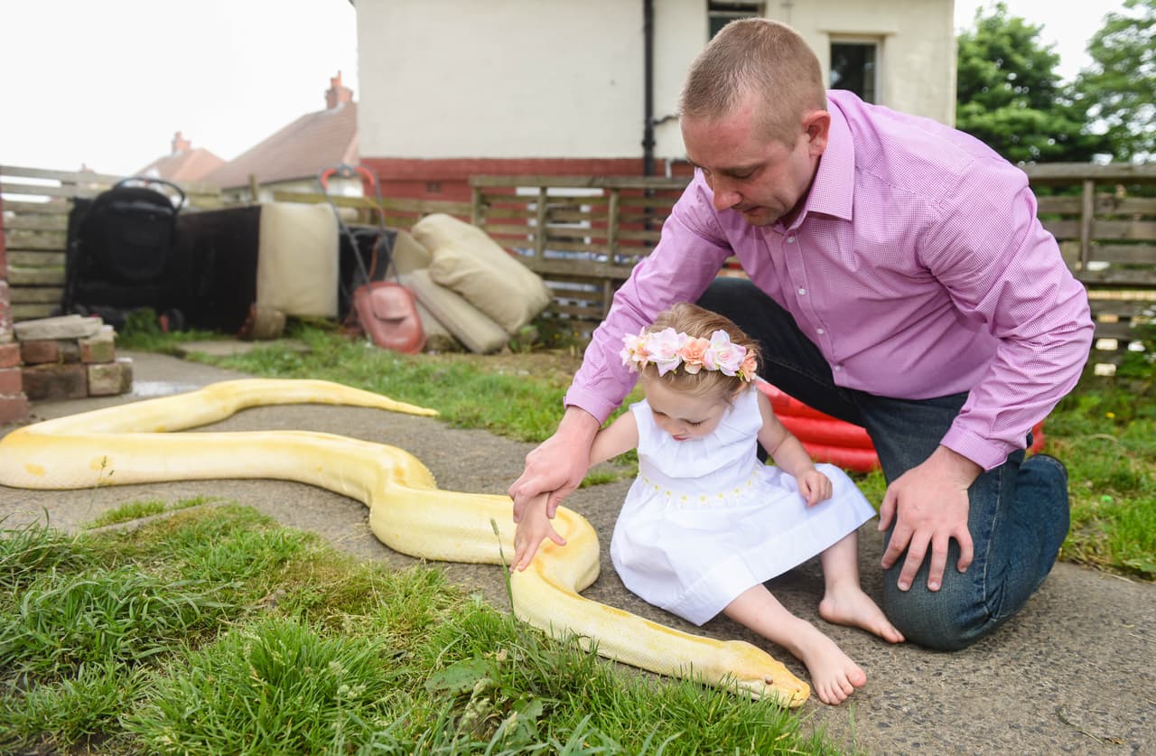 El gusto exótico por las serpientes ahora se los transmitirá a sus dos tiernos hijos.