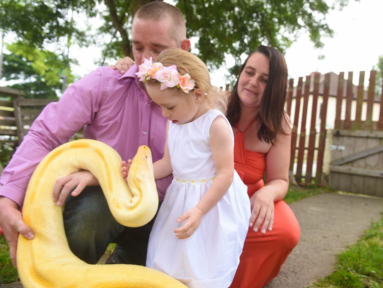 Muchas de sus serpientes pueden comer ratas y demás alimañas.
