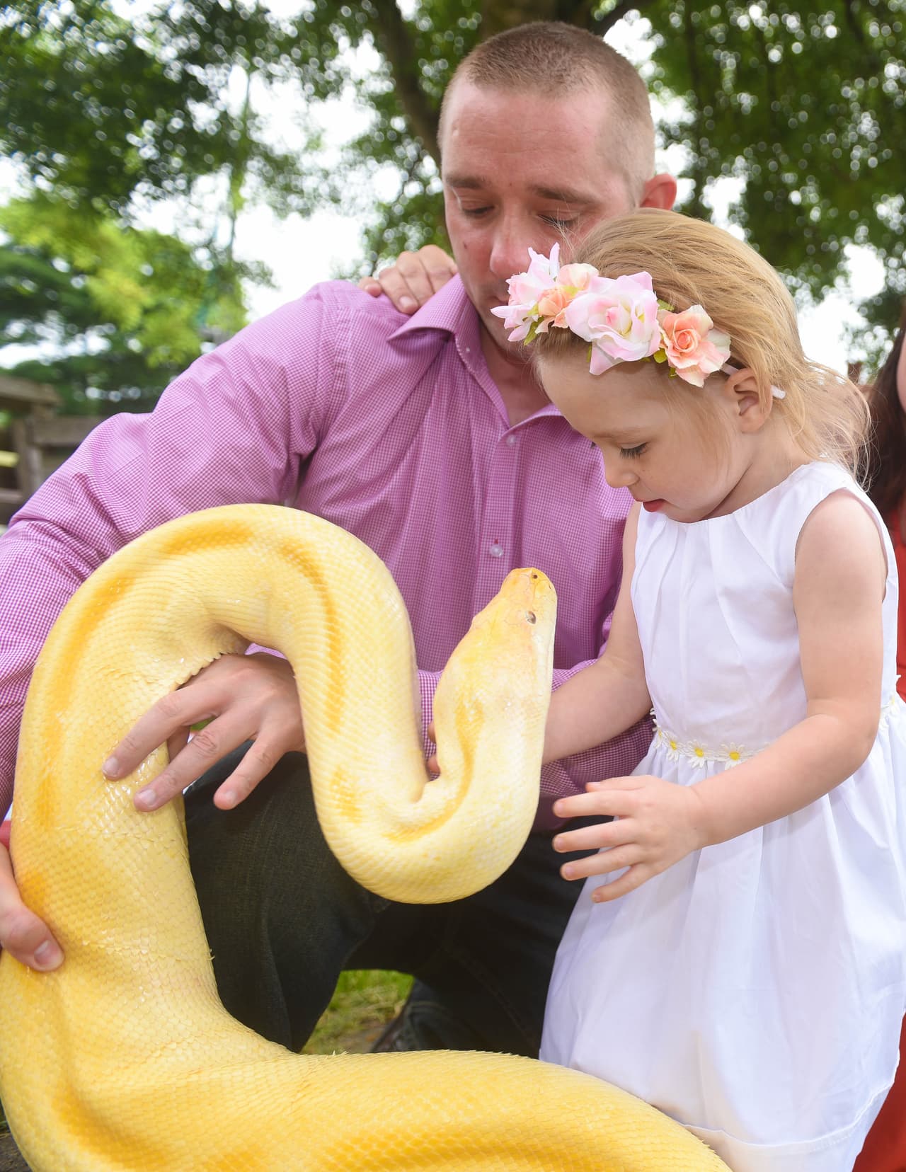 Para ‘Rob serpiente de cascabel’, el aspecto que más le encanta de las serpientes es su variedad de colores y razas.