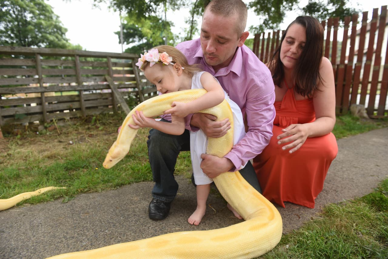 Sin embargo, estas pequeñas criaturas no son alimento suficiente para Austin.