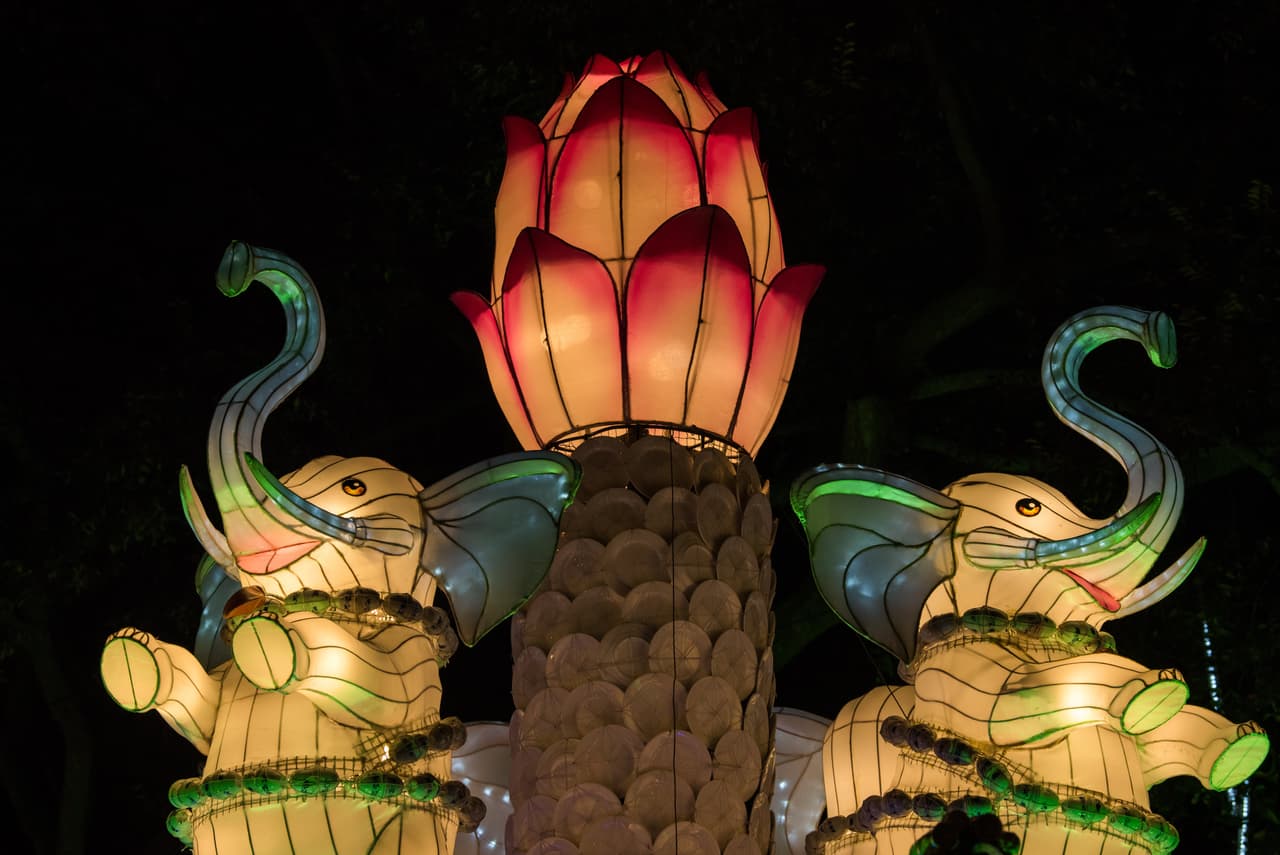 Así que prepárate para disfrutar de unos tiernos e iluminados pandas, hipopótamos, ballenas, leones, elefantes, entre muchos otros.