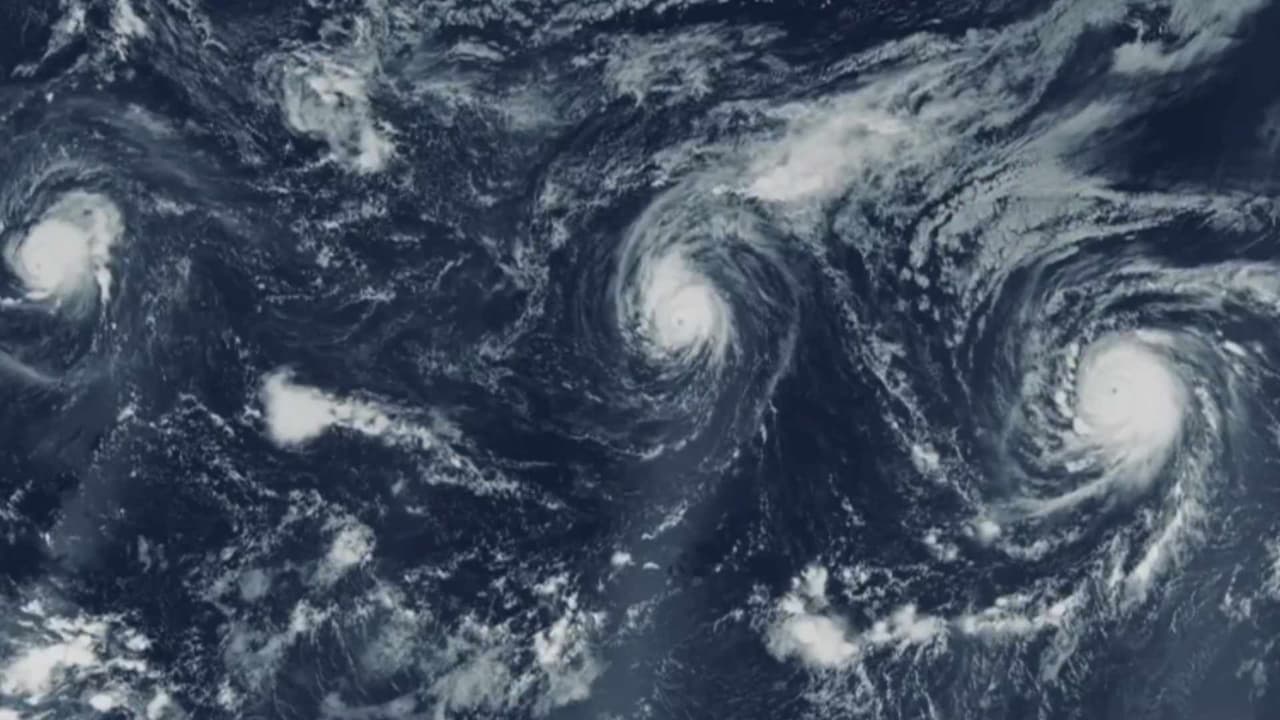 ¿Qué es el fenómeno “El Niño” y sus posibles consecuencias?