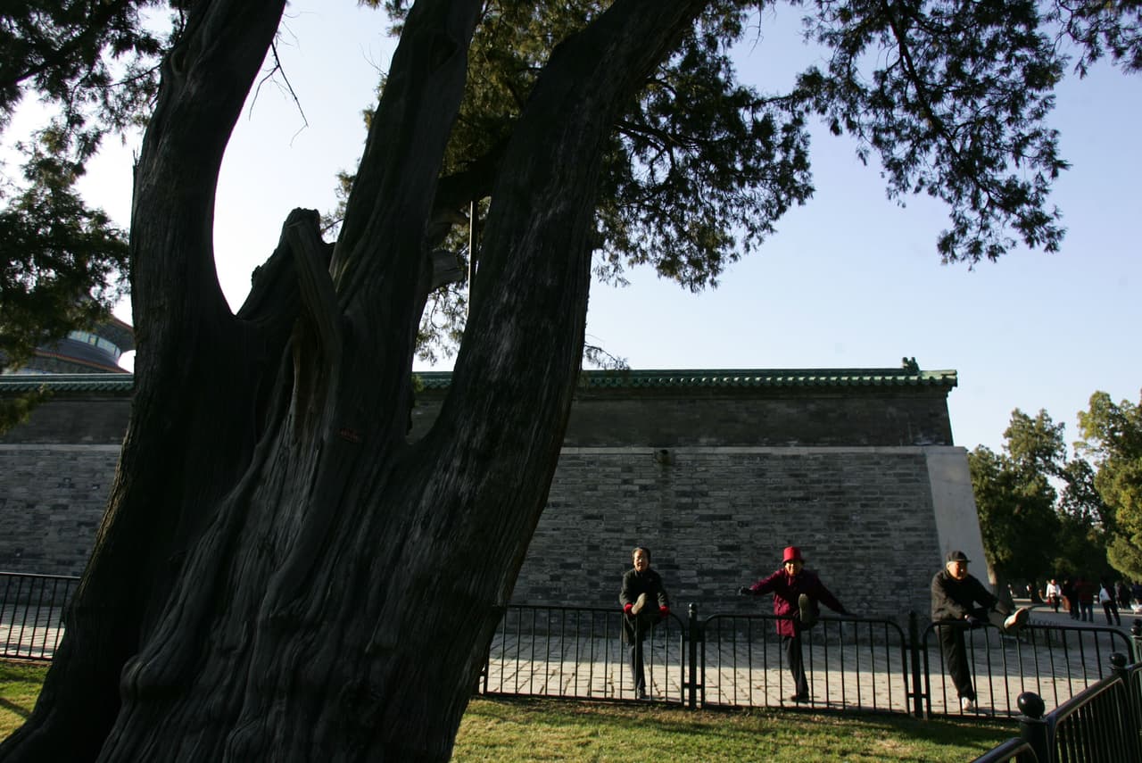 "
<b>Encontramos un aumento estadísticamente significativo en la función cognitiva que favoreció a los grupos que recibieron las intervenciones de ejercicio</b> en comparación con los grupos de control sin ejercicio", dijo a Reuters el autor principal del estudio, Gregory Panza, de la Universidad de Connecticut,en Storrs.