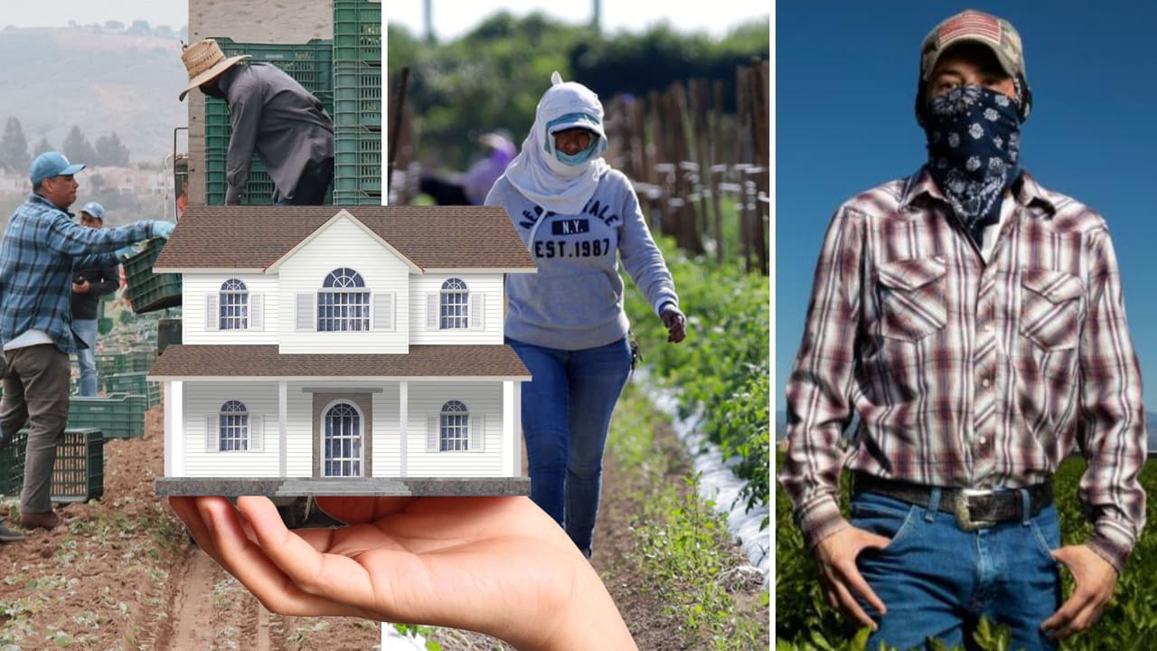 Trabajadores agrícolas de California recibirán ayuda económica para comprar su casa. Esto es lo que debes saber