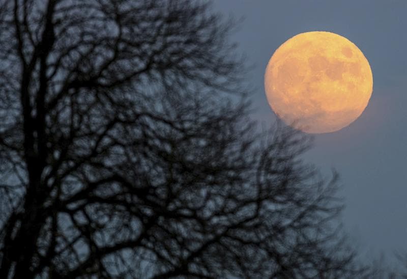Una luna rojiza se levanta entre las ramas de árboles en Sieversdorf (Alemania)