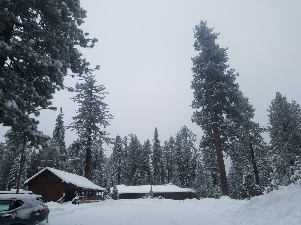 En zonas por sobre los 4,500 pies de altura, los acumulados de nieve alcanzaron hasta 12 pulgadas. La imagen muestra el sector montañoso del condado de Fresno, parque Kings Canyon.