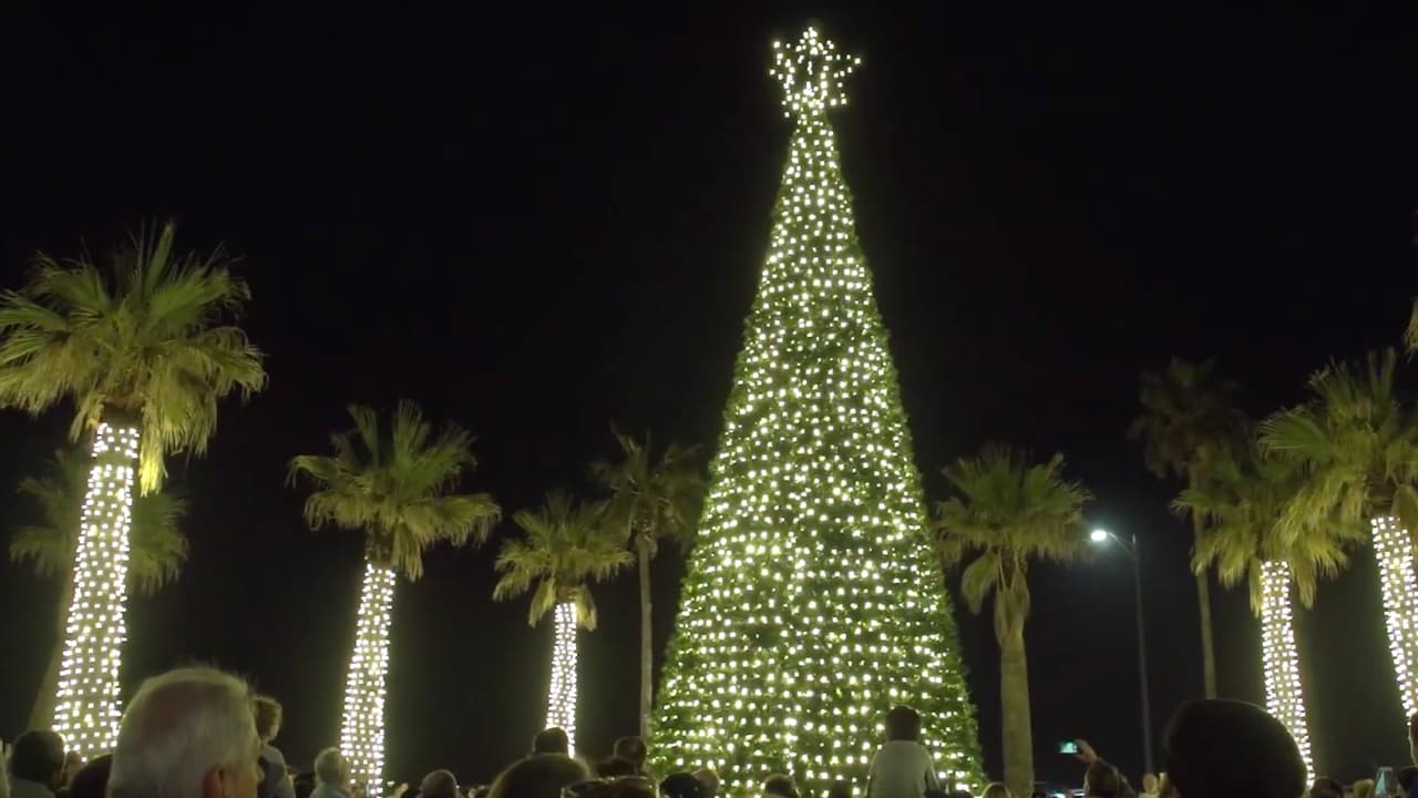 Este viernes en la noche encienden el enorme árbol de Navidad del hotel Galvez, en Galveston