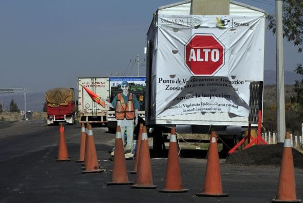 Científicos del país han desarrollado una vacuna para evitar la propagación de la enfermedad aviar.