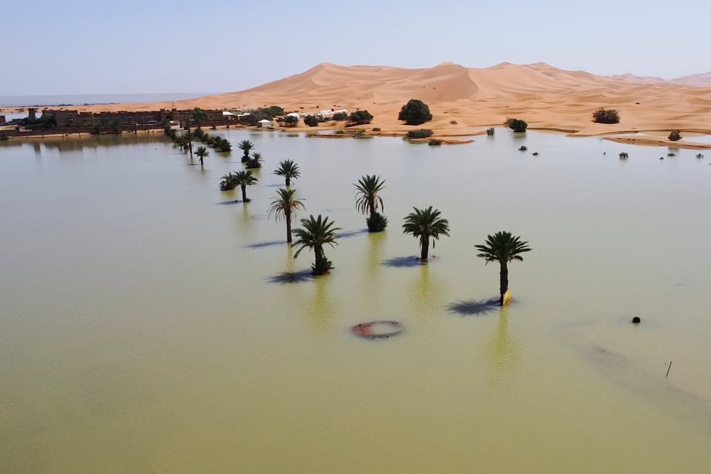 Palmeras inundadas en un lago provocado por las fuertes lluvias en la ciudad desértica de Merzouga, cerca de Rachidia, sureste de Marruecos, miércoles 2 de octubre de 2024.