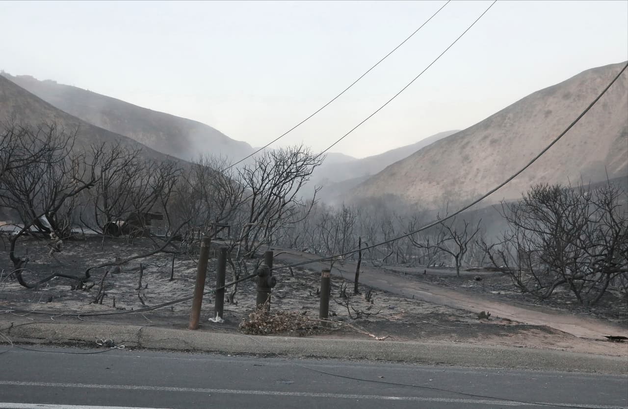 Esto es parte de los terrenos de su propiedad, los cuales quedaron carbonizados.