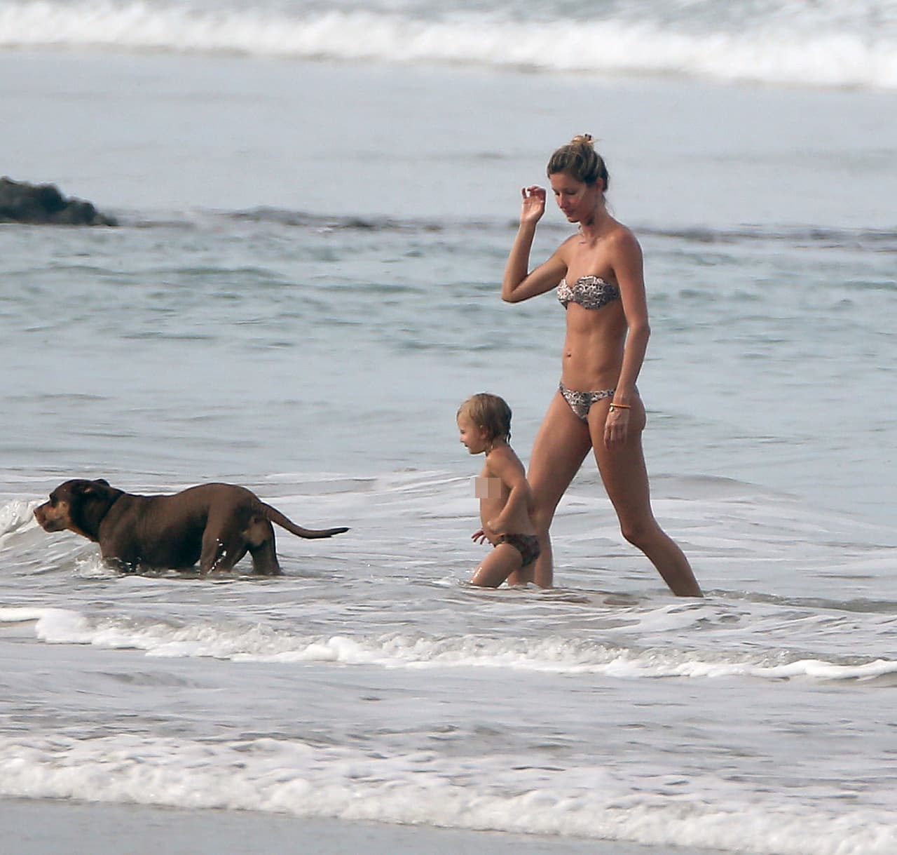 Su perrito siempre los acompaña a todos lados.