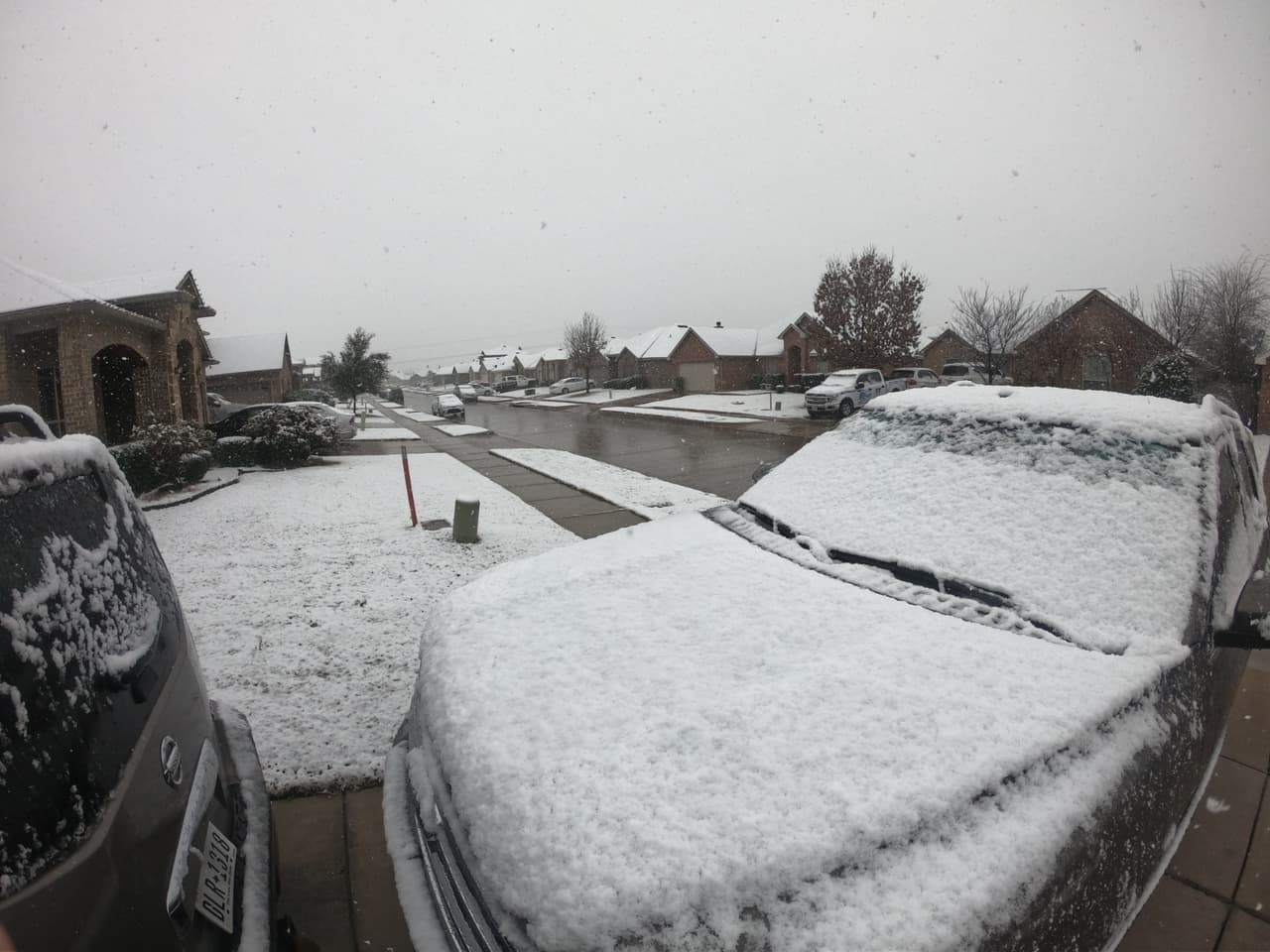 Y los autos cubiertos de nieve en el sur de Arlington.
<br>