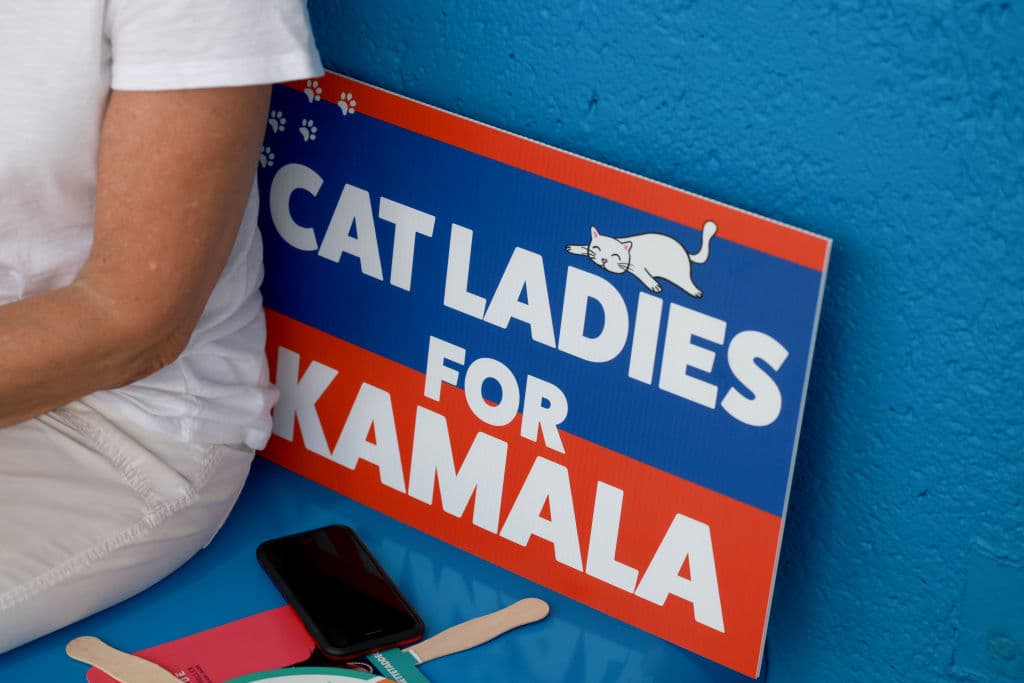 En 2021, el ahora aspirante republicano a la vicepresidencia de los Estados Unidos, 
<b>JD Vance</b>, describió a sus rivales demócratas como 
<b><a href="https://www.univision.com/noticias/elecciones-en-estados-unidos-2024/cat-ladies-gatos-jd-vance-mujeres-sin-hijos-donald-trump-jennifer-aniston" target="_blank">"señoras con gatos y sin hijos"</a></b>. Algunas de esas mujeres con gatos y sin hijos se organizaron este 2024 para apoyar a 
<b>Kamala Harris</b>, como nominada demócrata a la presidencia de la nación. Y este 14 de septiembre llegaron hasta Miami para recordar cuán importante es el voto por la Enmienda 4. Aunque no tengan hijos, estas personas quieren que se garantice la libertad de elegir poner fin a un embarazo.