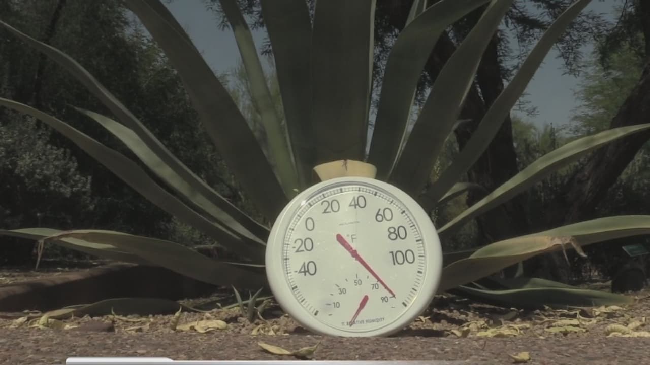 Las temperaturas en Arizona alcanzan niveles récord y las autoridades envían alertas