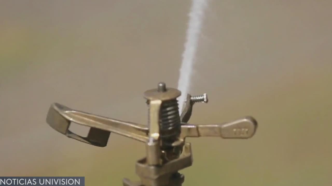 Autoridades piden apagar los rociadores de césped ante temperaturas congelantes