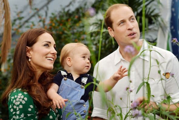 El principito quedó fascinado con la exhibición Sensational Butterflies.