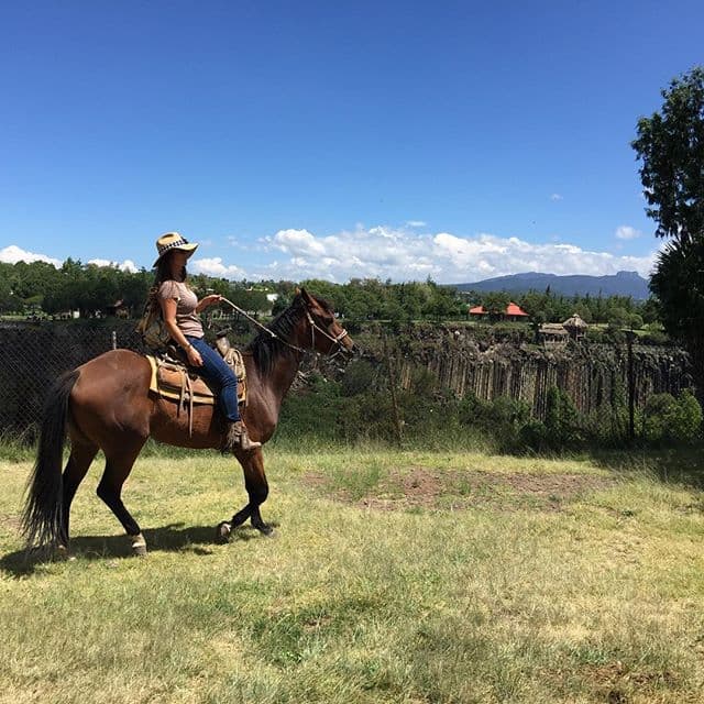 Su primer disco con música cristiana lo llamó “Alabando a Jesús y María”, con el que logró incrementar sus presentaciones en EEUU.