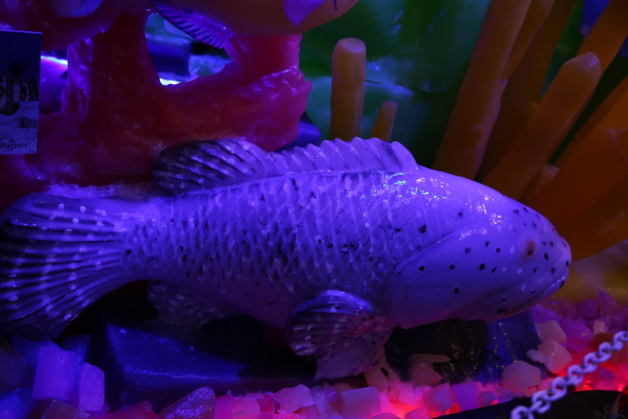 Las esculturas de hielo son tan realistas y detalladas que parecen que los peces estuvieran vivos.