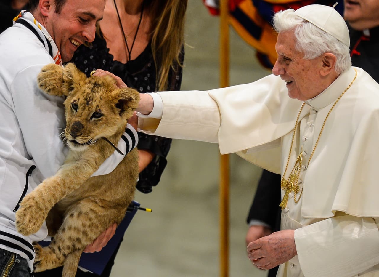 Benedicto acarició con una gran sonrisa a varios animalitos como a varios cachorros de león que estuvieron presente durante una de sus audiencias en el marco del Festival Pilgrimage to Rome en 2012.